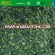 2017 spring crop frozen spinach choped from China