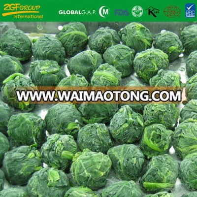 Frozen Spinach IQF Fresh Frozen Spinach Ball