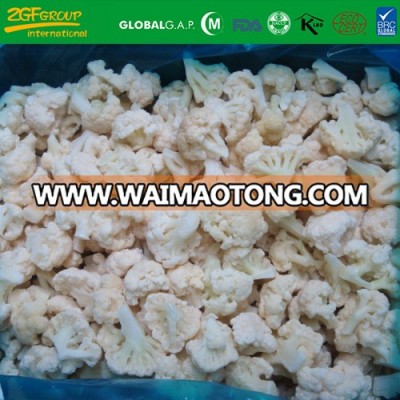 HACCP certificate vegetable frozen IQF cauliflower in China