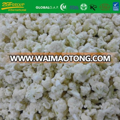 IQF gradeA cauliflower with best price frozen vegetables cauliflower new crop