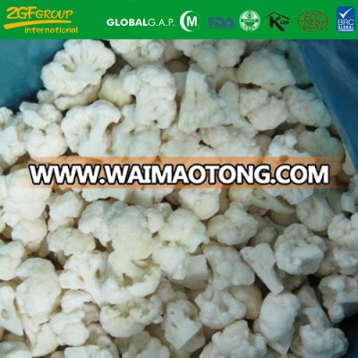 Supply frozen vegetables Wholesale Fresh IQF Frozen Cauliflower