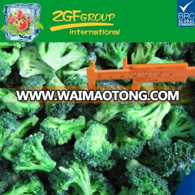 Food Specification For Good Quality Iqf Frozen Broccoli
