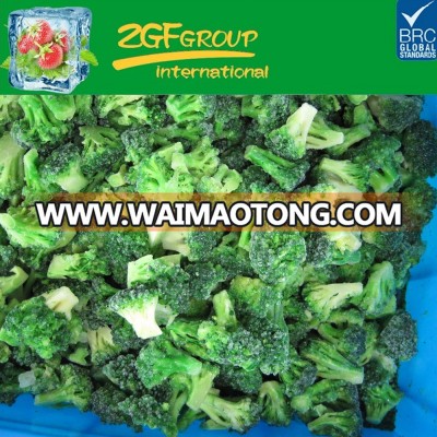 broccoli and iqf broccoli frozen vegetables