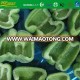 fresh color pepper from new crop of 2pepper16( China origin)