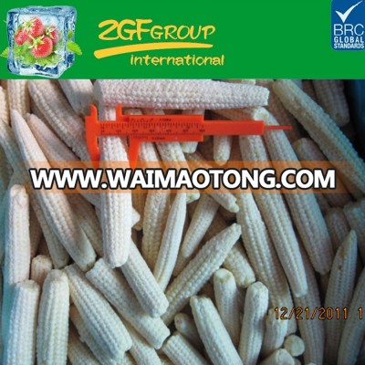 grade A whole IQF frozen baby corn
